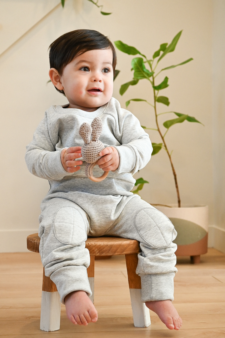 Ensemble EvoluFit | Gris