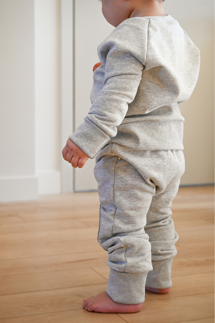 Ensemble EvoluFit | Gris
