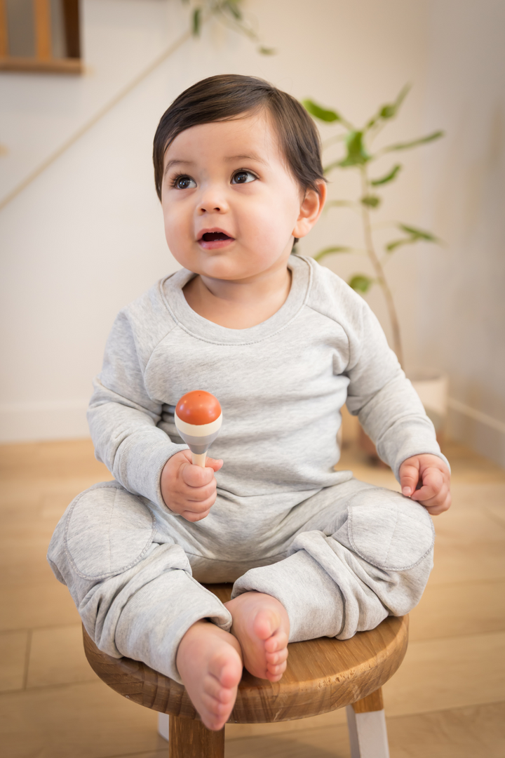 Ensemble EvoluFit | Gris