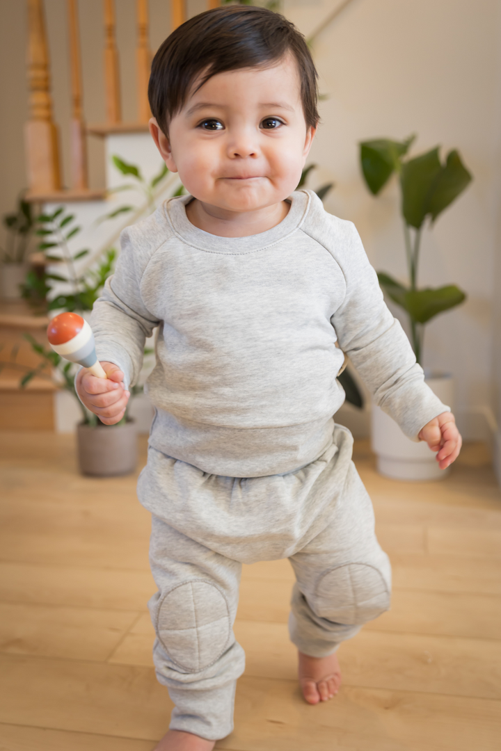 Ensemble EvoluFit | Gris